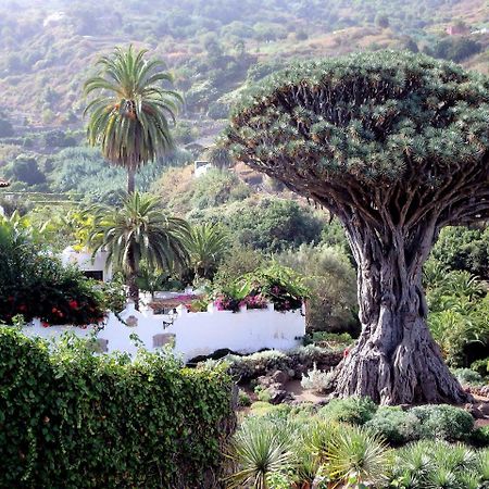 شقة El Rincon With Teide View III إيكود ذي لوس فينوس المظهر الخارجي الصورة