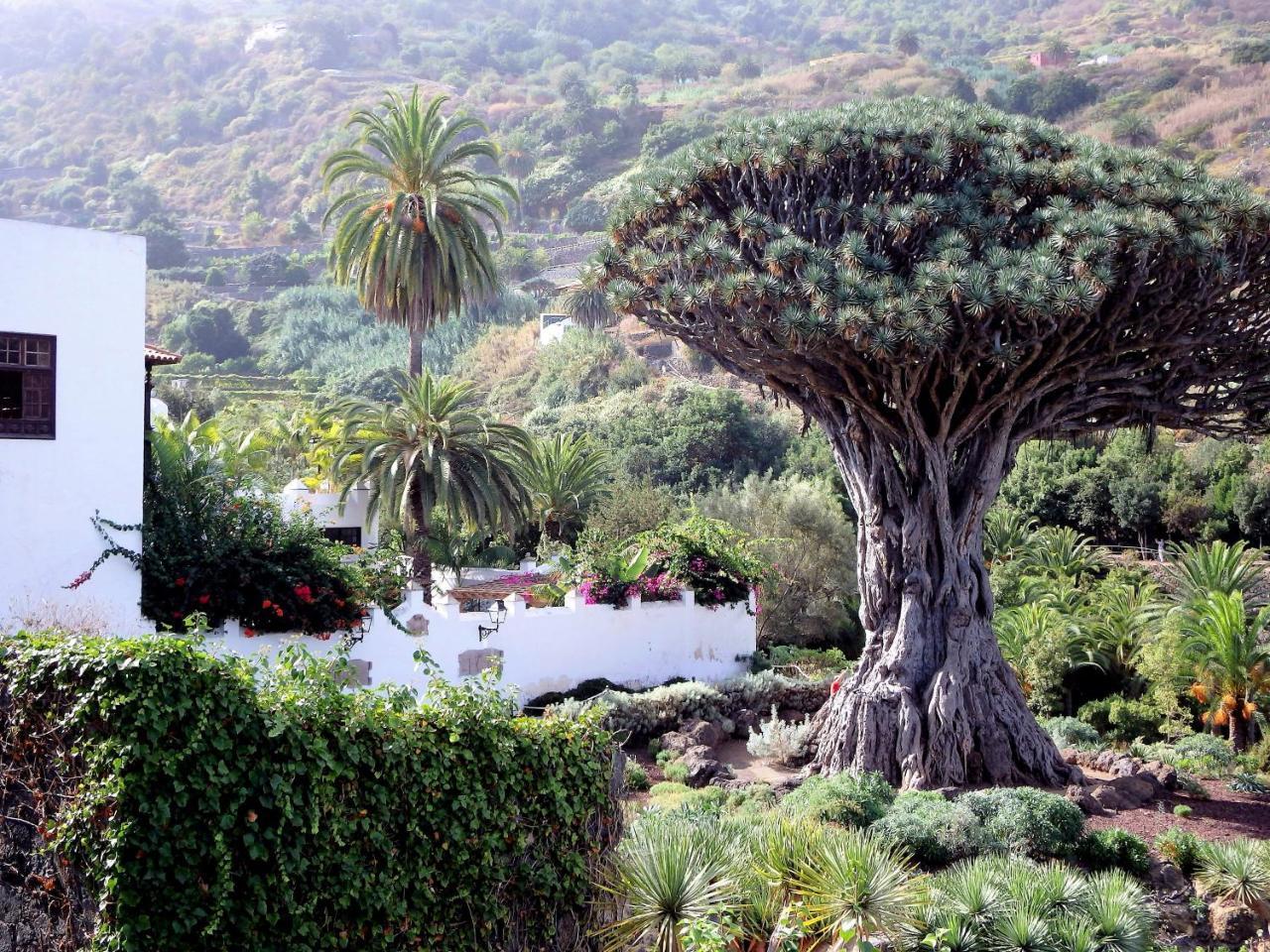 شقة El Rincon With Teide View III إيكود ذي لوس فينوس المظهر الخارجي الصورة